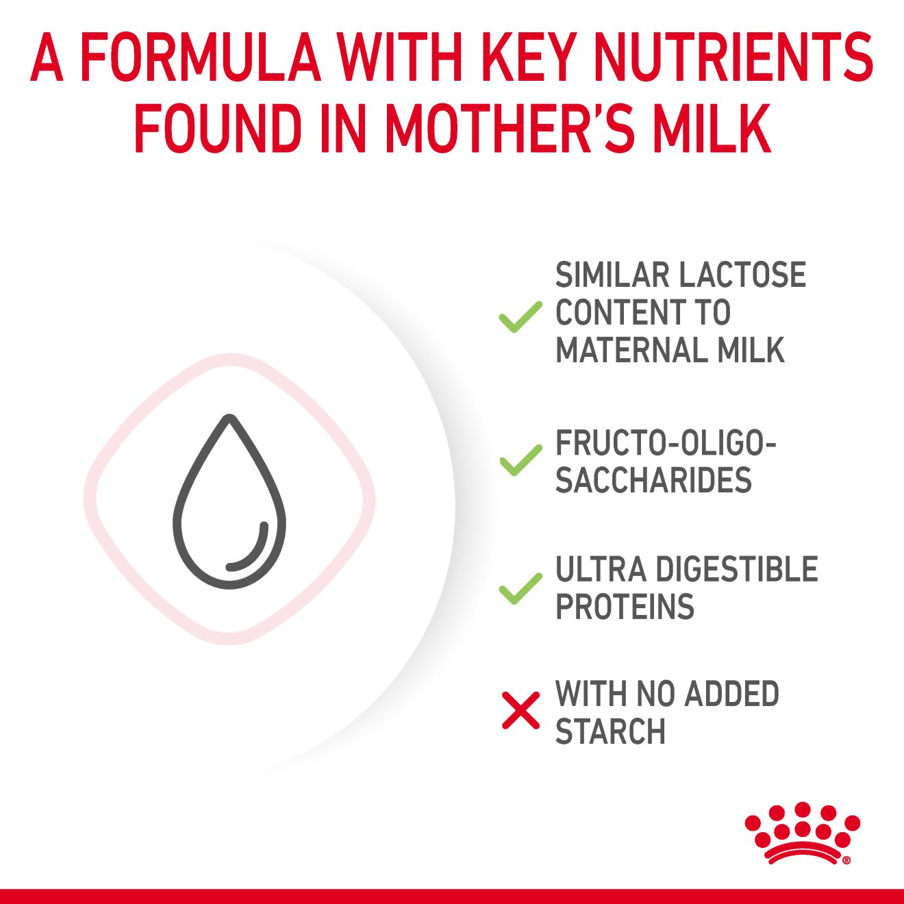 Royal canin kitten outlet milk replacer