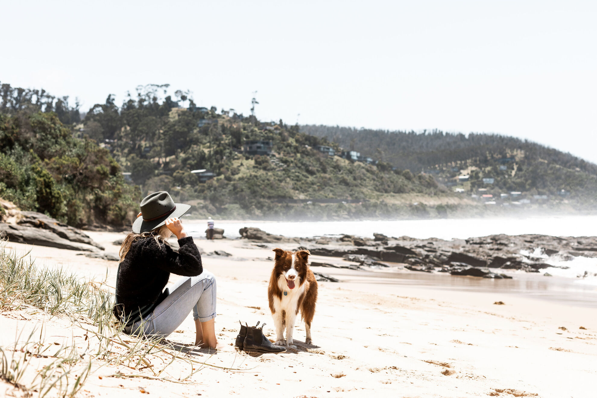 Comment enseigner à son chien à jouer au frisbee? 🪃. Il est possible que  votre compagnon ait besoin d'un coup de main pour apprendre à jouer avec  vous au frisbee, voici quelques