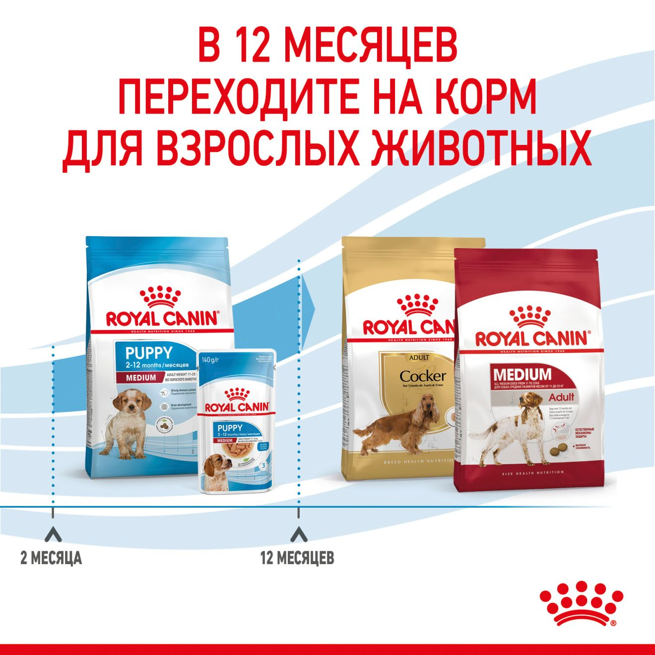 Royal canin store puppy food medium