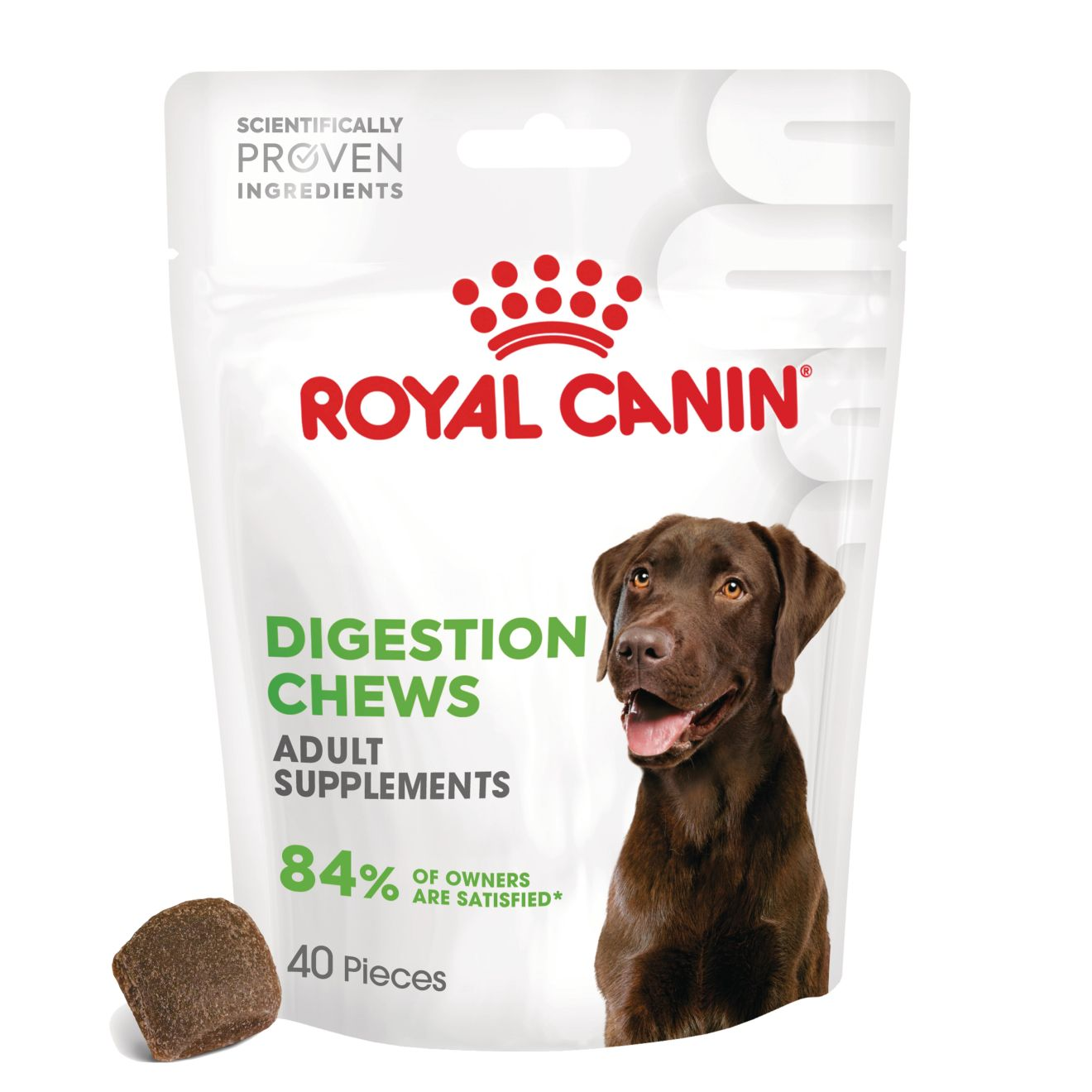 DIGESTION CHEWS