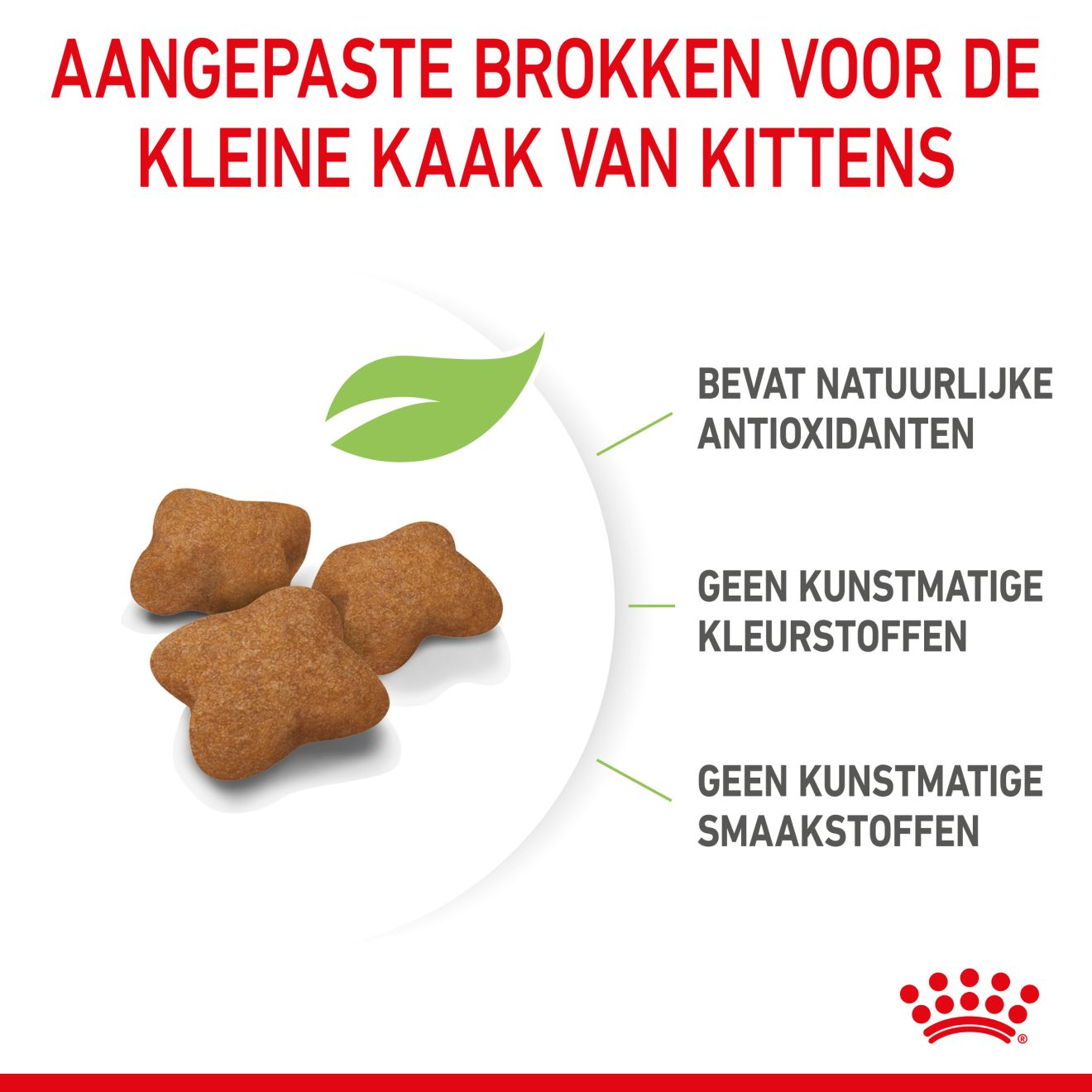 Kittenvoer - Kitten Sterilised | Royal Canin NL