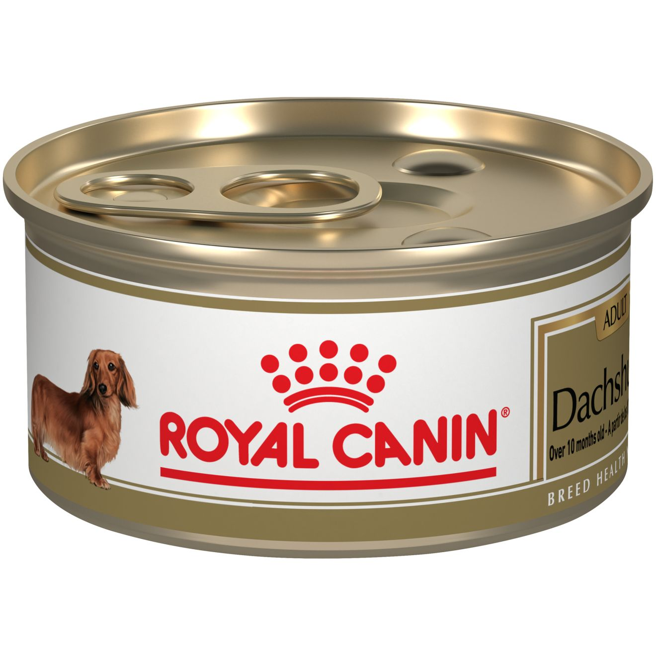 Dachshund Adult Loaf in Sauce Canned Dog Food Royal Canin US