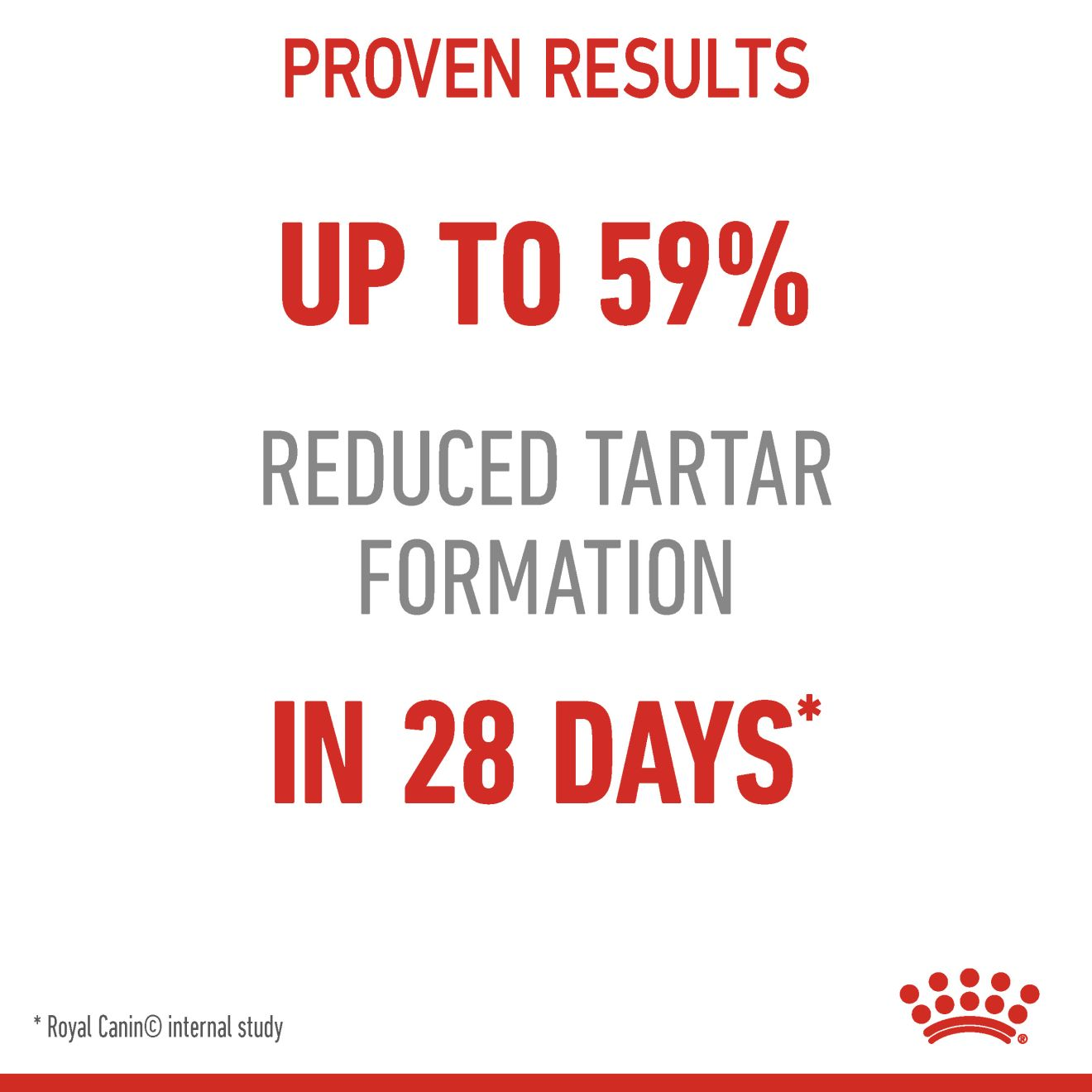 dental-care-dry-cat-food-royal-canin-us