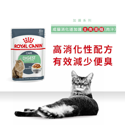 Royal-Canin-_成貓消化道加護主食濕糧（肉汁）_正方形_HK_01