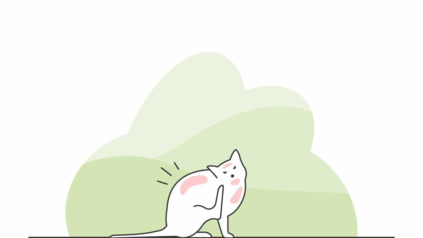 Illustration of a cat scratching