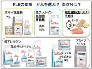 345-japan-local-ca-vet-ple-food