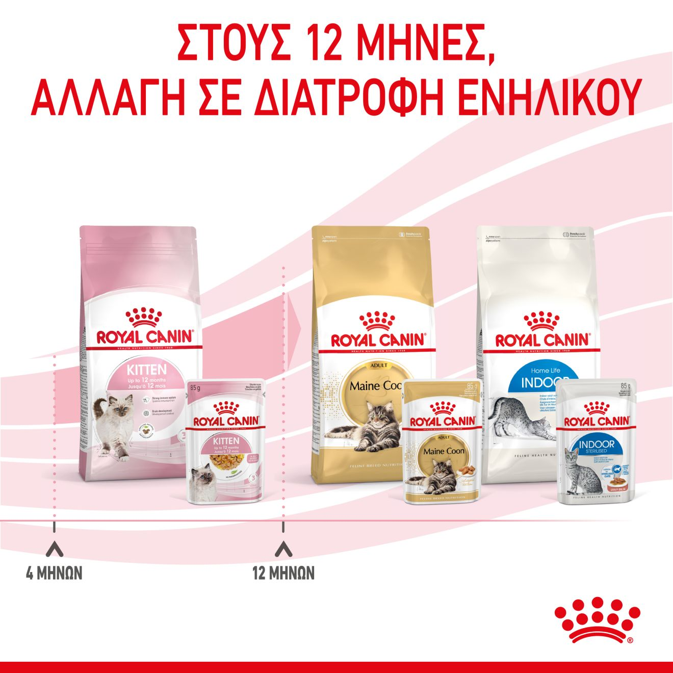 KITTEN κομματάκια σε ζελέ 
