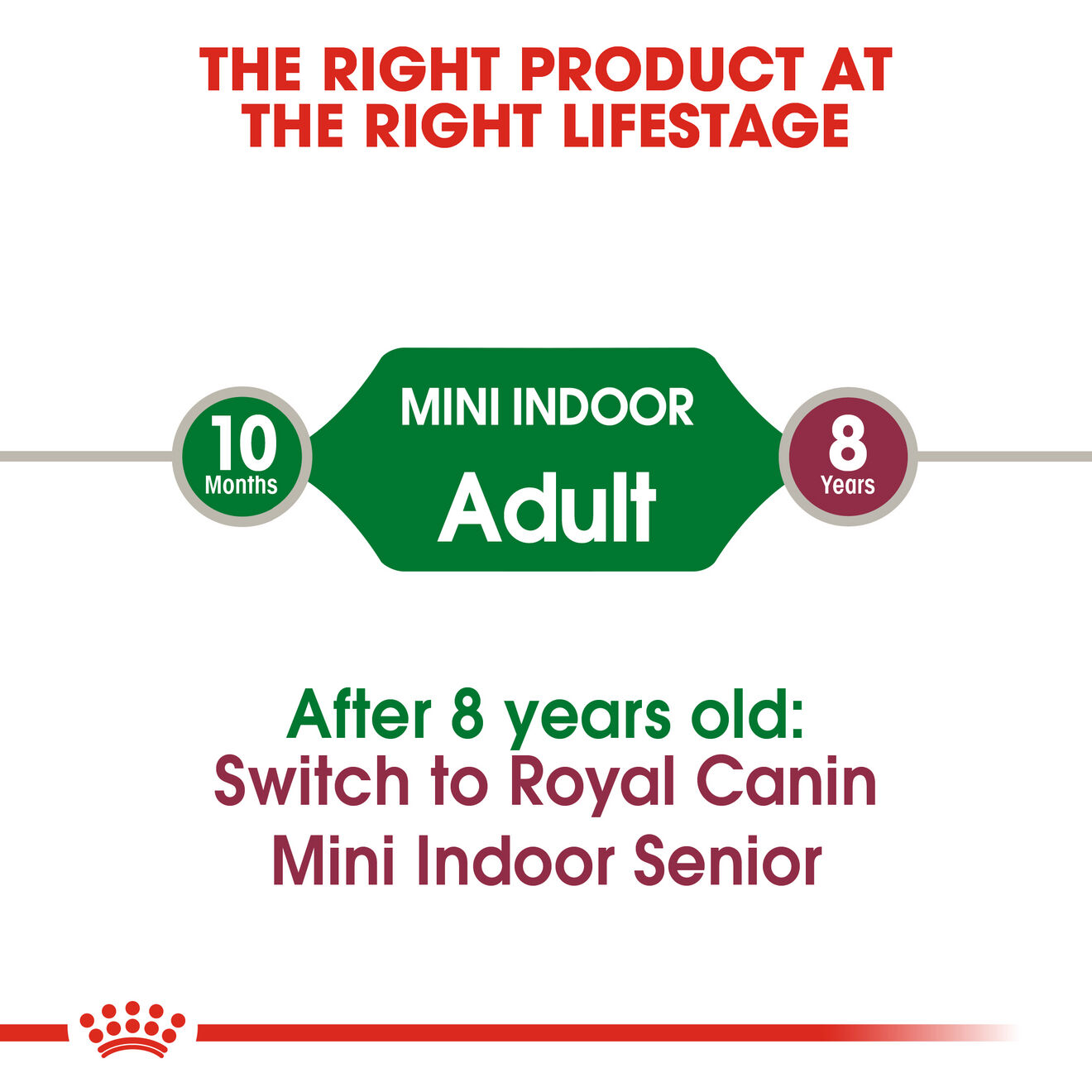 Mini Indoor Adult