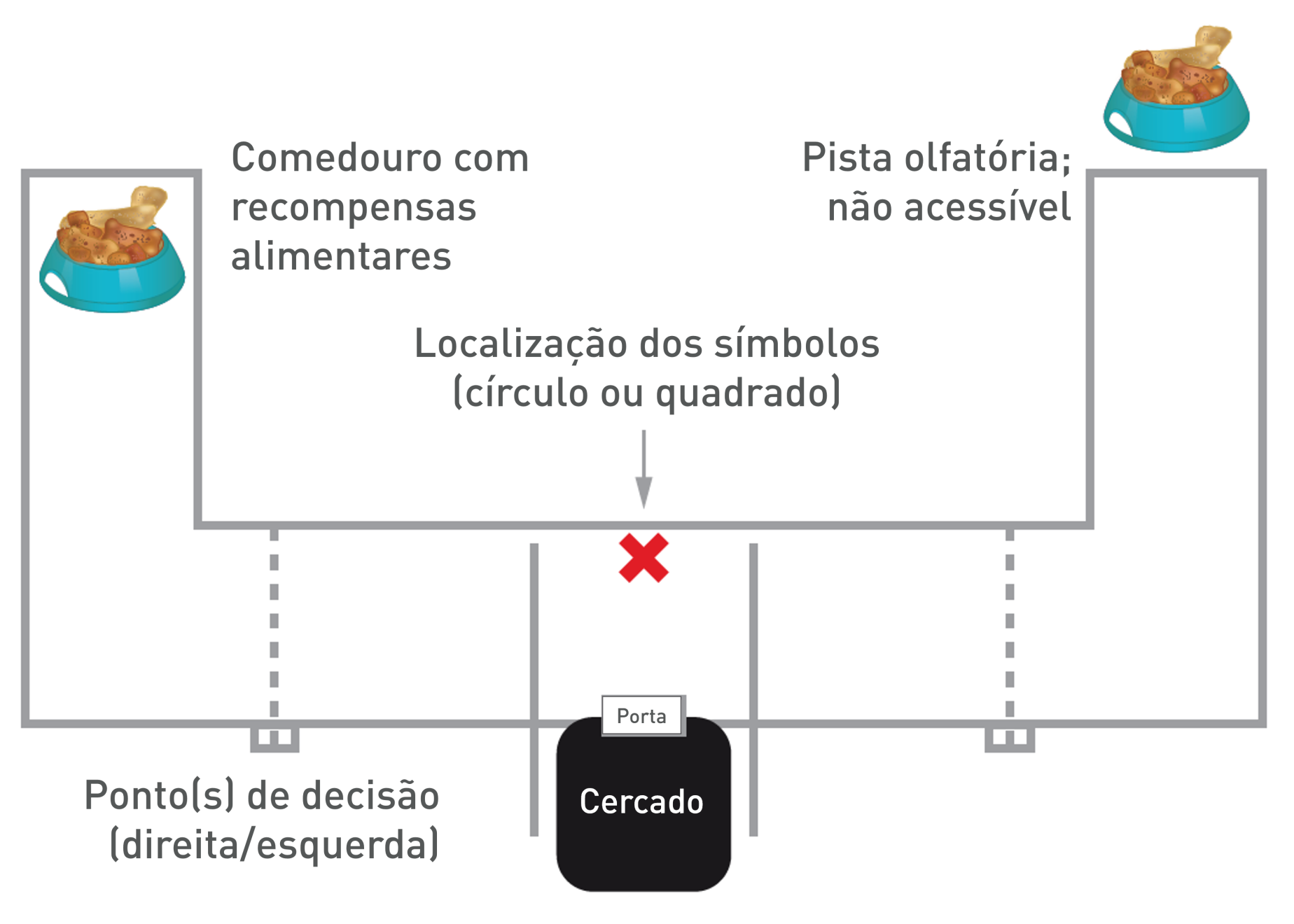O labirinto em T usado no Estudo 2