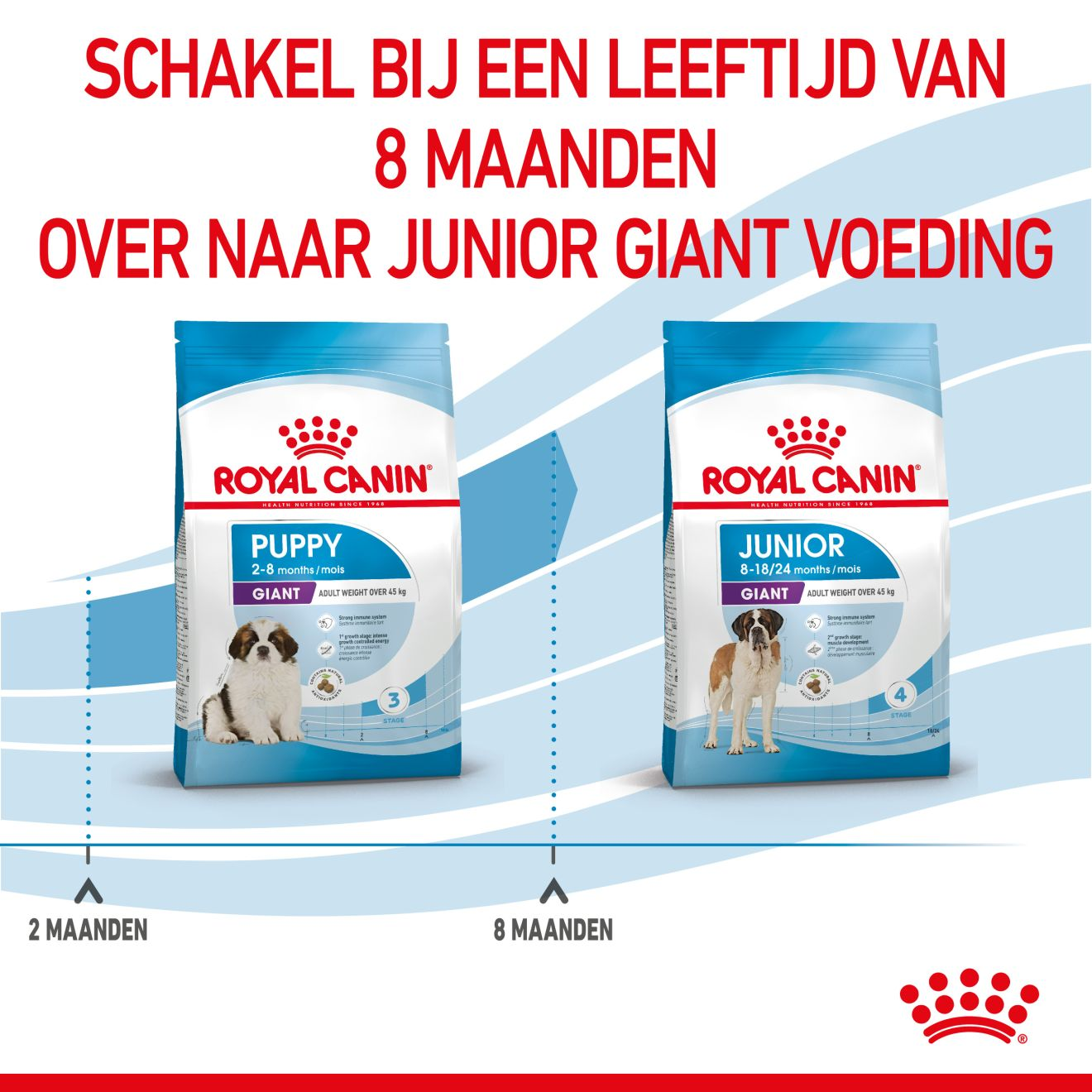 Eukanuba Dog - Developing Junior - Large Breed