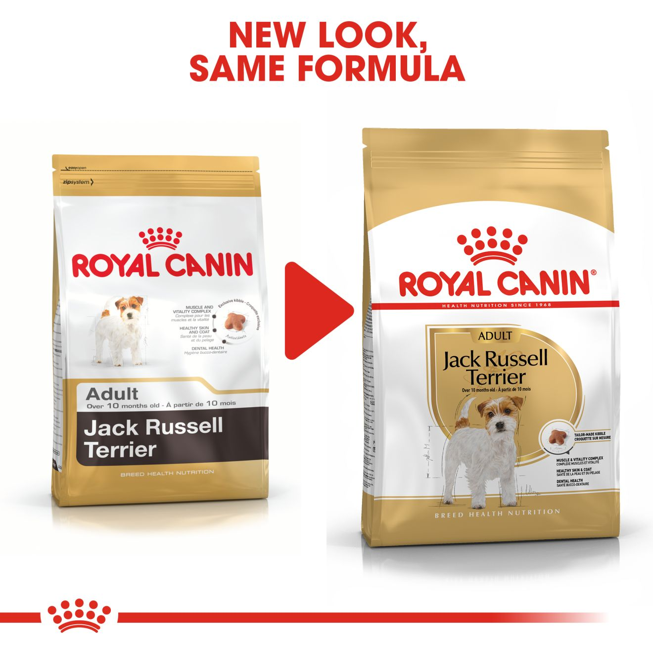 Royal canin 2025 jack russell adult