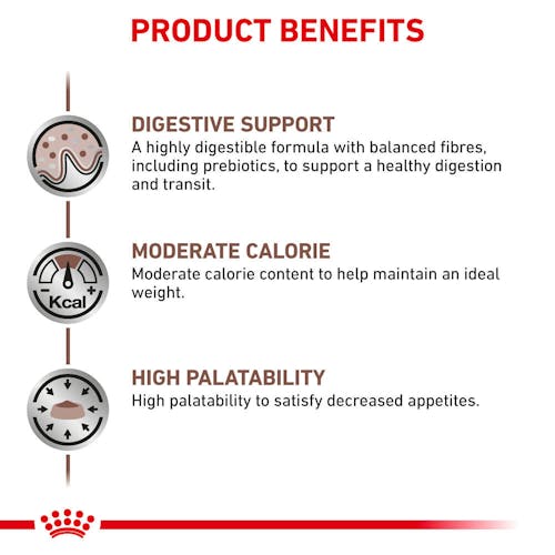 Gastrointestinal Moderate Calorie