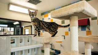 Lewisburg Pet Health and Nutrition Center