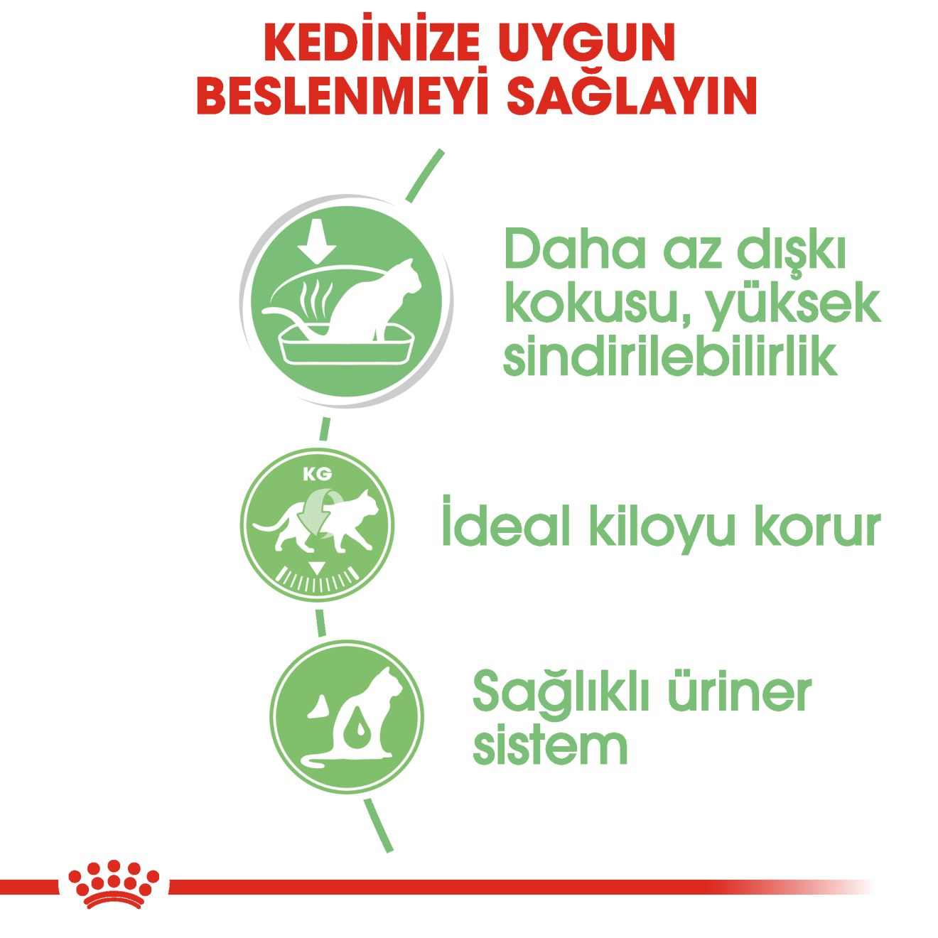 Digestive Care Yetişkin Kedi Yaş Maması