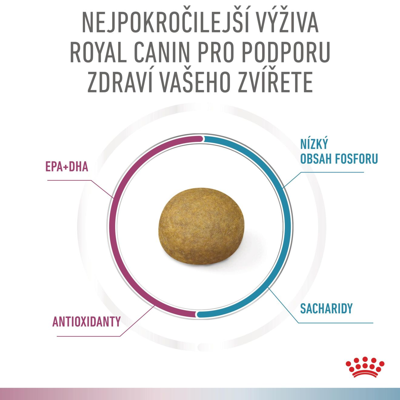 VHN Dog CA Renal-Hypoallergenic Small