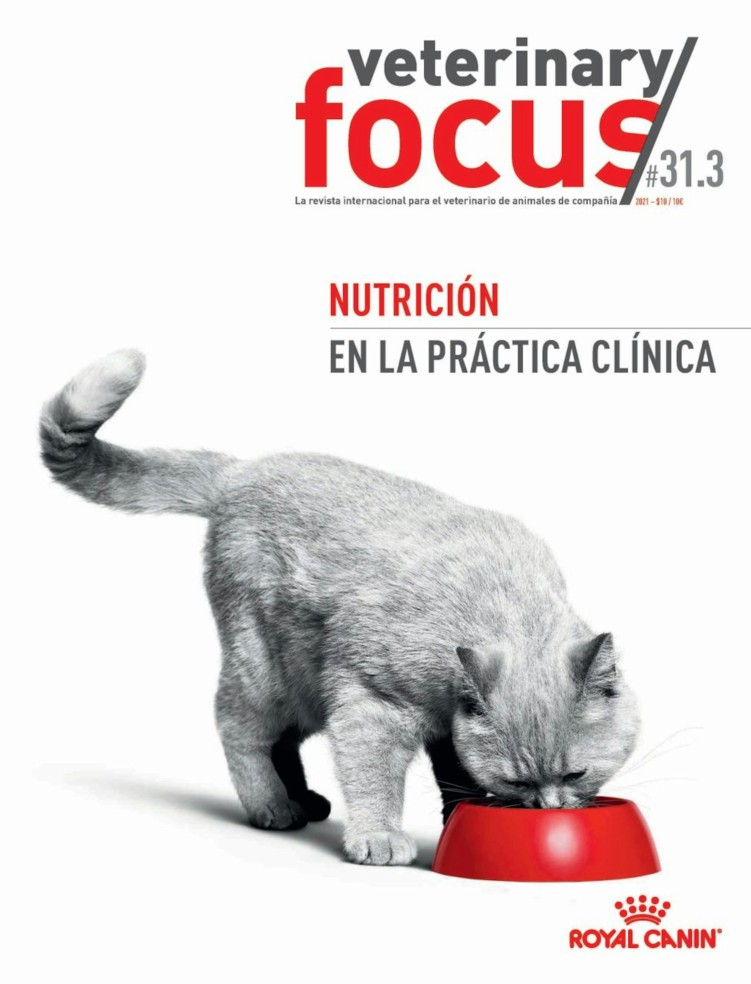 Vet Focus 31.3 nutrition ESP