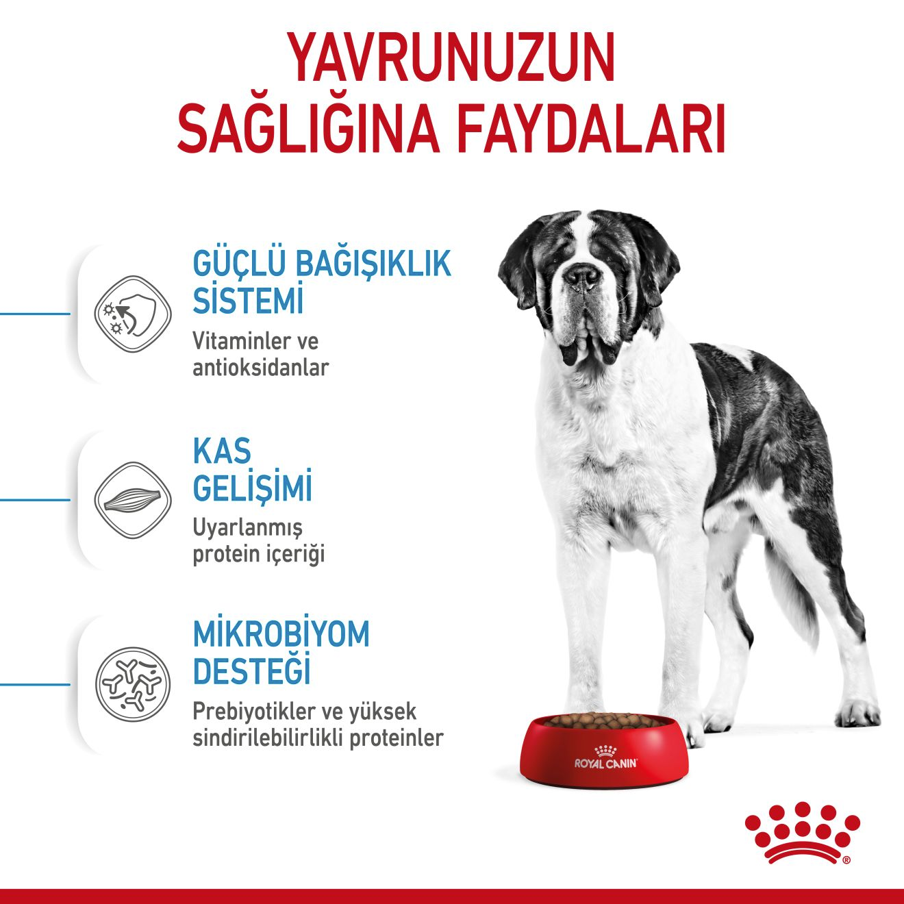 Giant Junior Yavru Köpek Kuru Maması