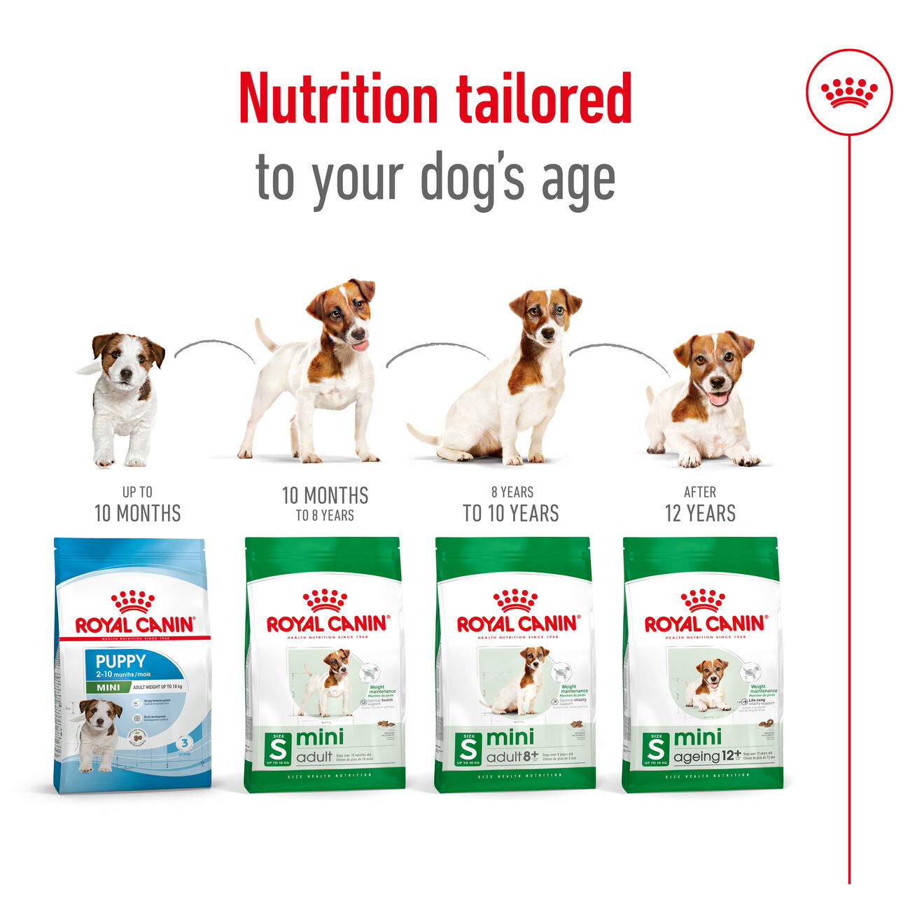 SHN Mini Ageing 12+ | Royal Canin HK