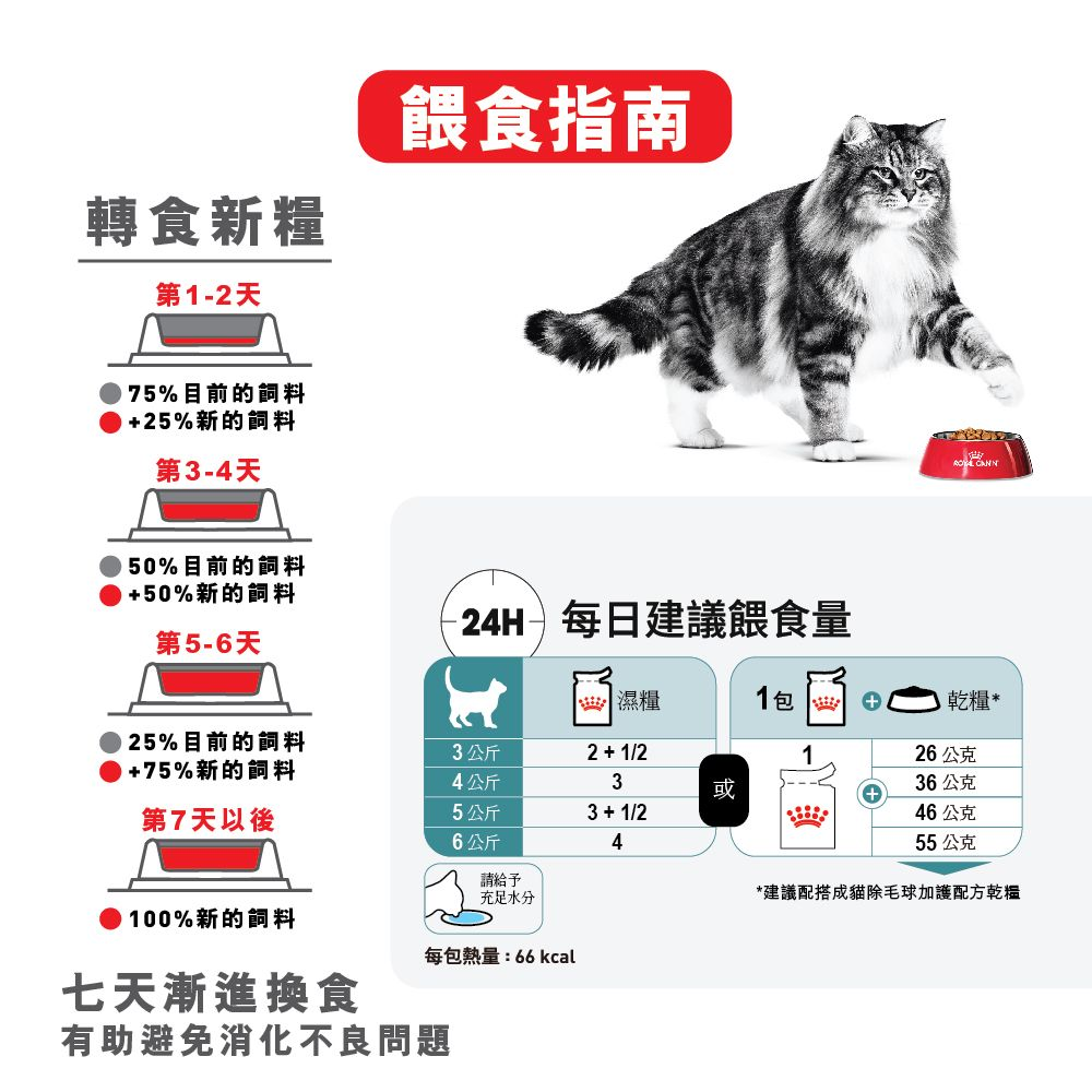 FCN 成貓除毛球加護主食濕糧（肉汁）
