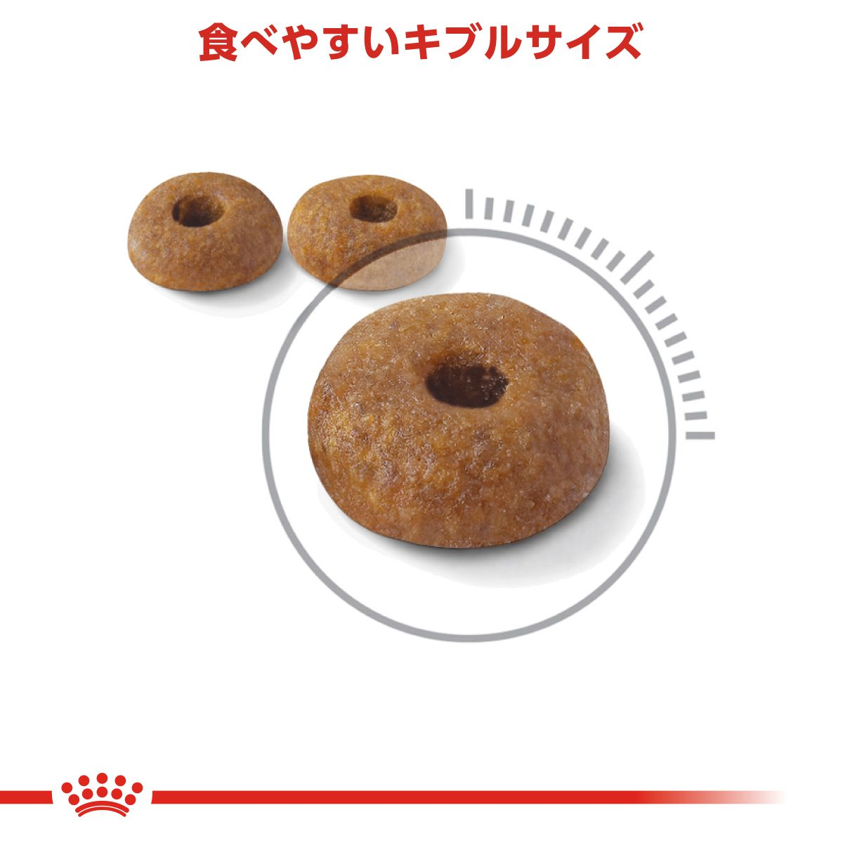  CANIN ダイジェスティブケア4kg 2袋 ロイヤルカナン 猫 ダイジェスティブ ケア 健康なおなか便を維持