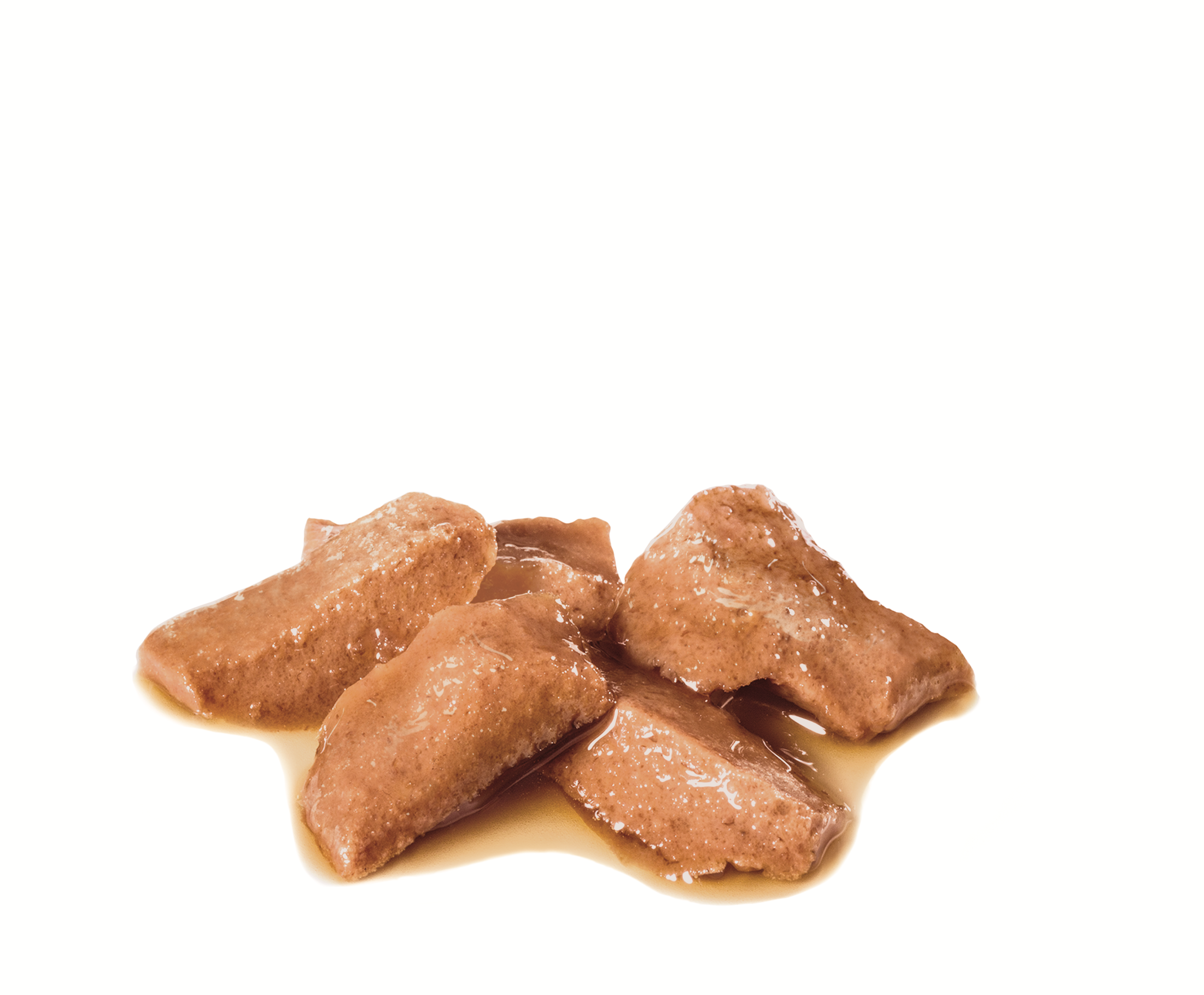 Maine Coon Adult Thin Slices in Gravy Canned Cat Food Royal Canin US