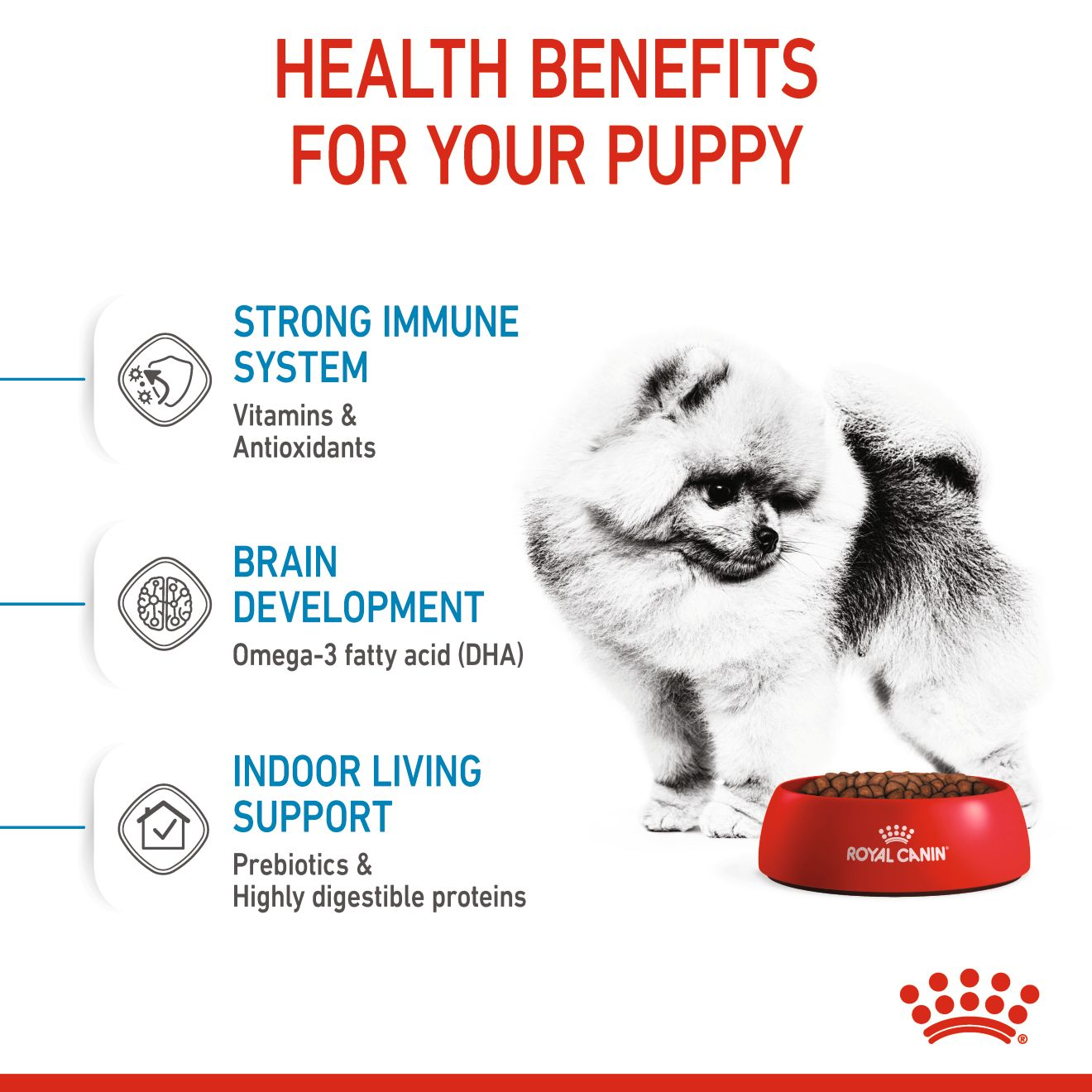 Royal Canin® Size Health Nutrition™ X-Small Puppy Dry Dog Food