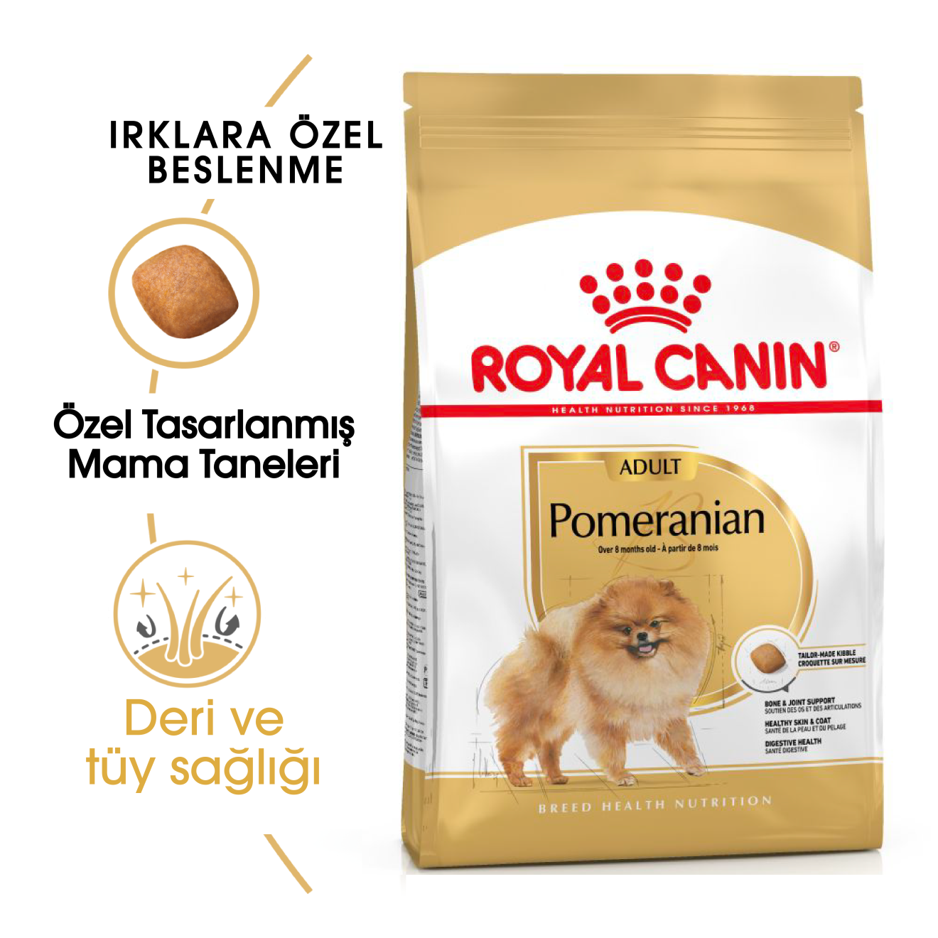 Pomeranian Adult Yetişkin Köpek Kuru Maması