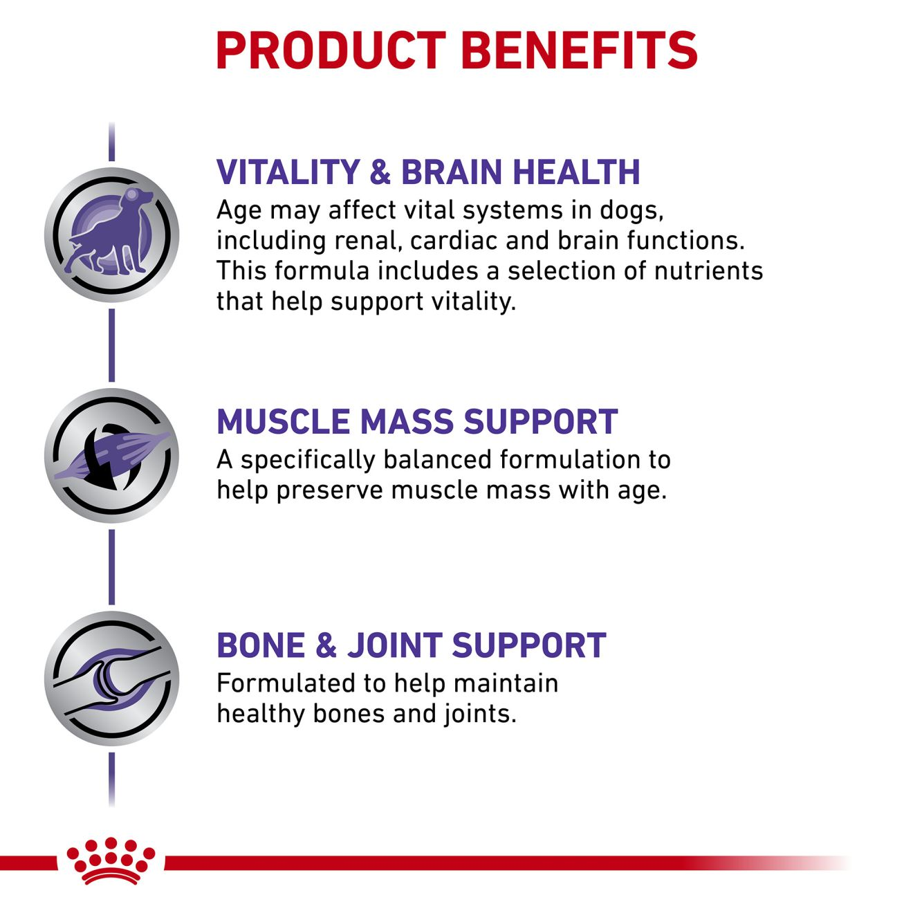 Canine   Mature Consult Large Dog