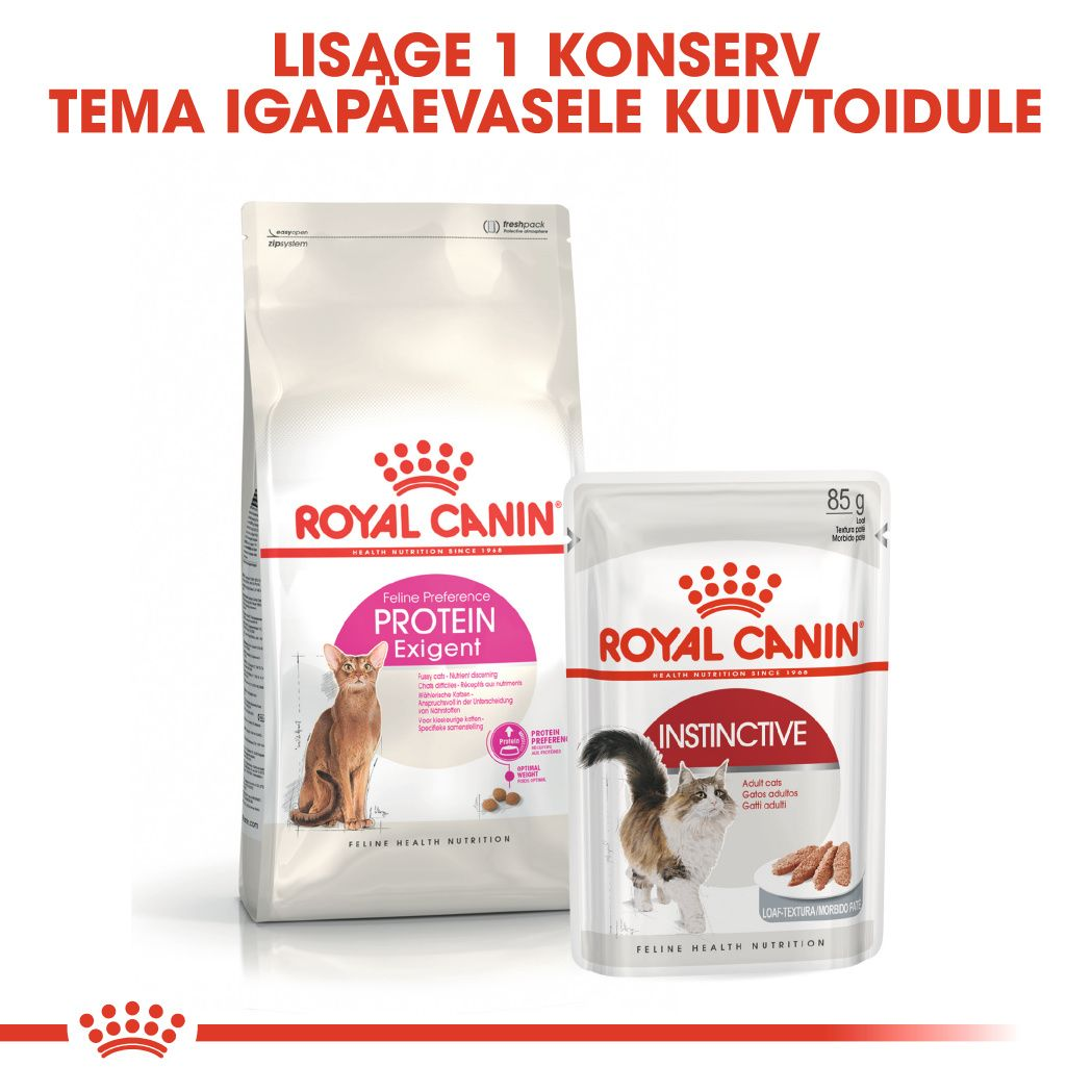 Royal Canin Protein Exigent kuivtoit