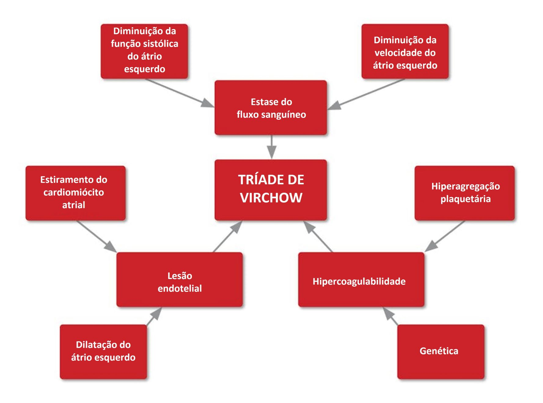 Fatores que influenciam a tríade de Virchow e a patogenia da trombose