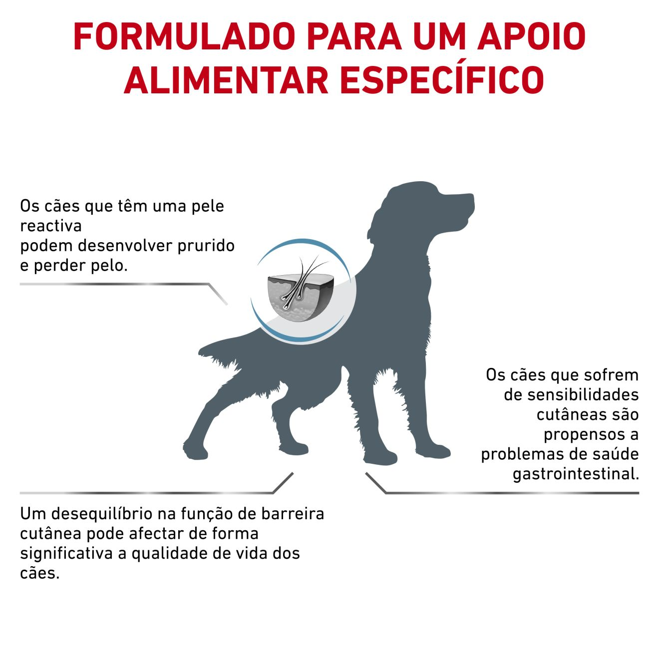 skin-coat-royal-canin-pt