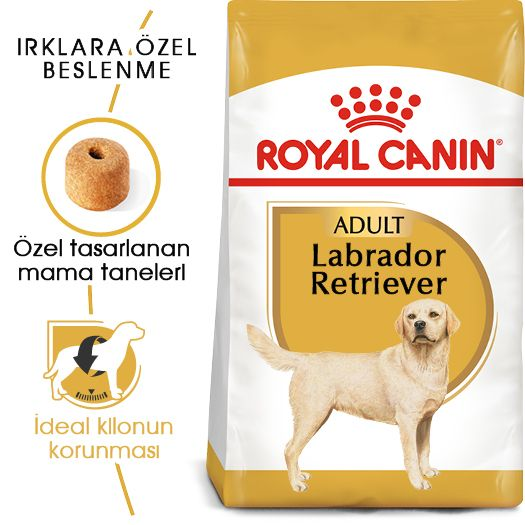 Labrador Retriever Adult Yetişkin Köpek Kuru Maması