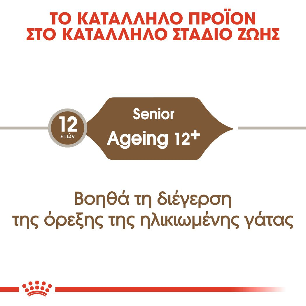 Ageing 12+