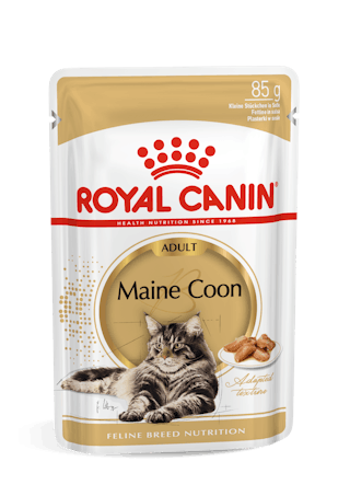 Royal Canin Maine Coon konserv (õhukesed viilud kastmes)