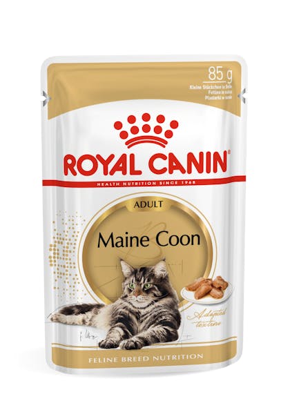 Taille ergens bij betrokken zijn roterend Maine Coon Adult natvoer wet | Royal Canin