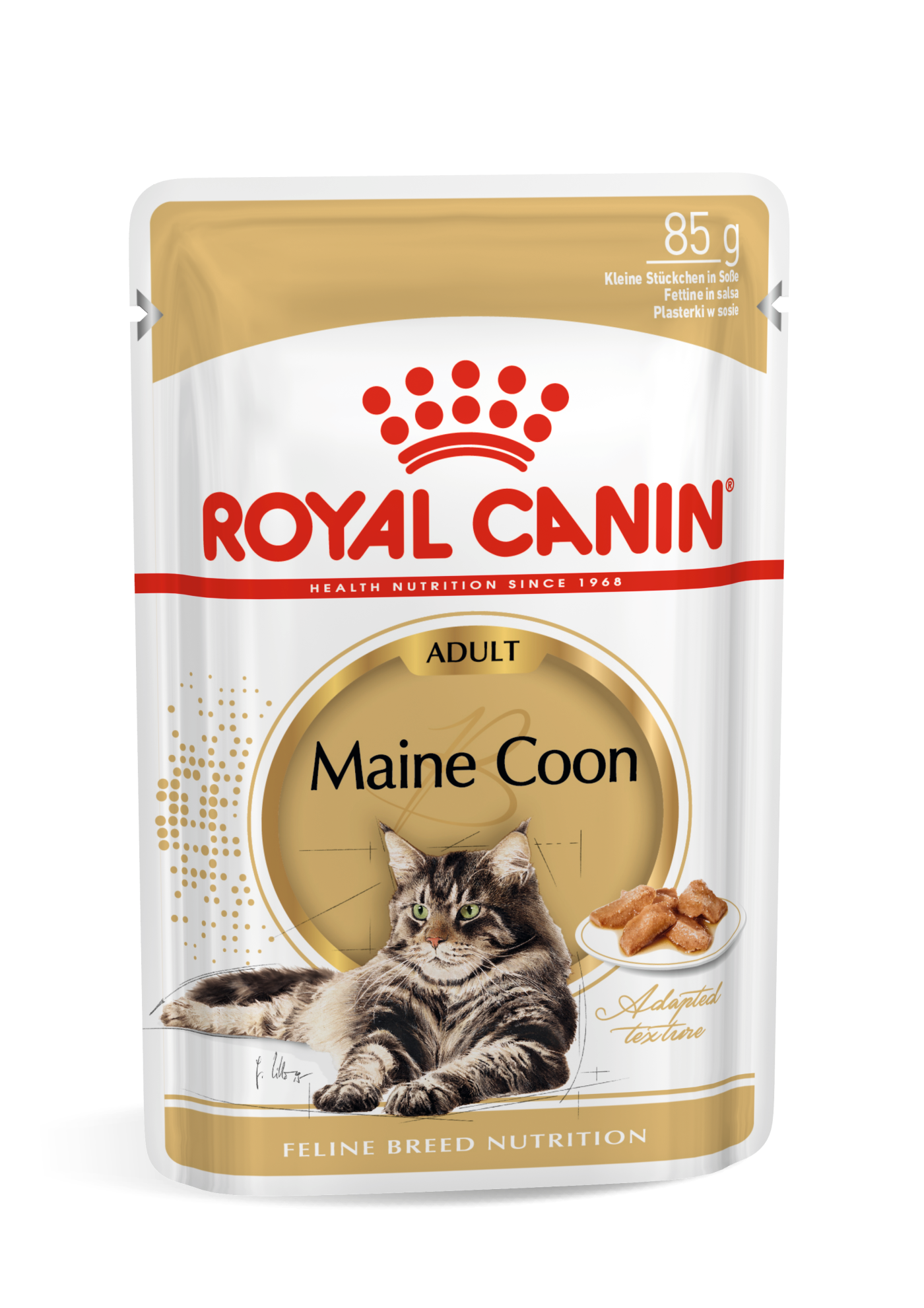 Maine Coon Katze Royal Canin