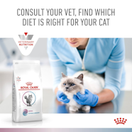 Renal Hypoallergenic Cat Food Top Sellers Laseb fae ufmg br