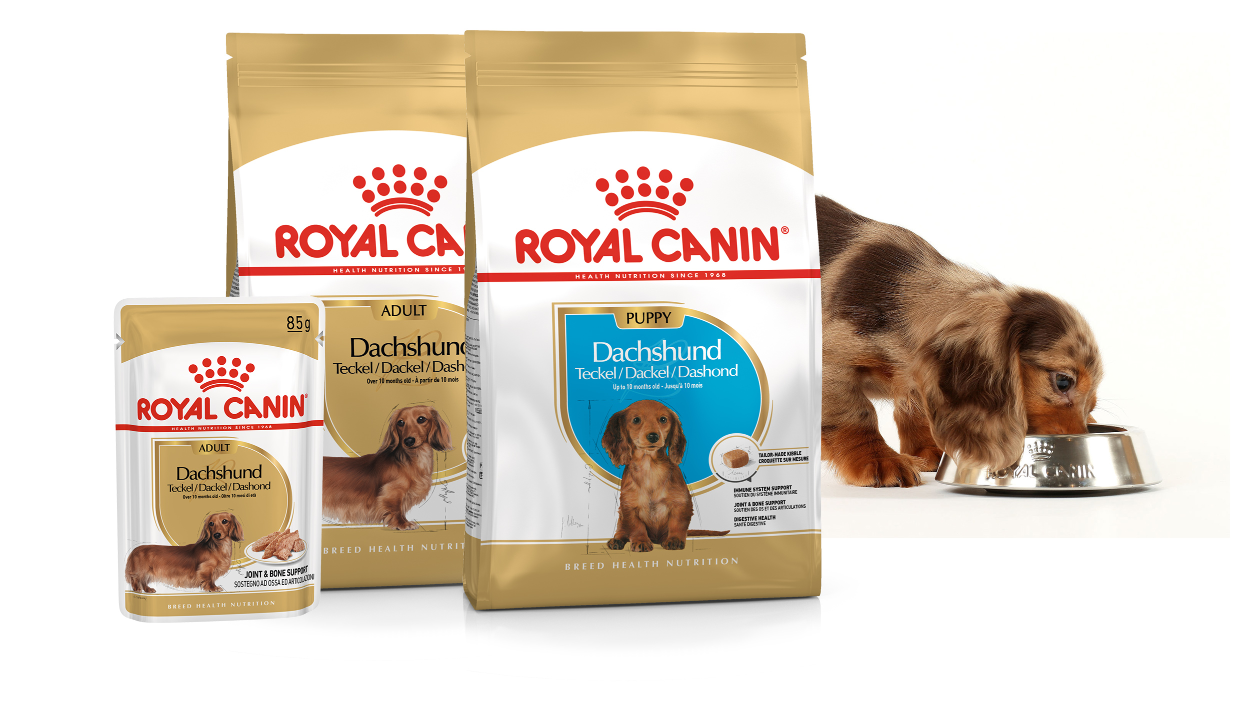 Royal canin породы