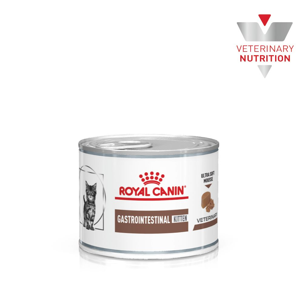 Royal canin kitten cheap canned food