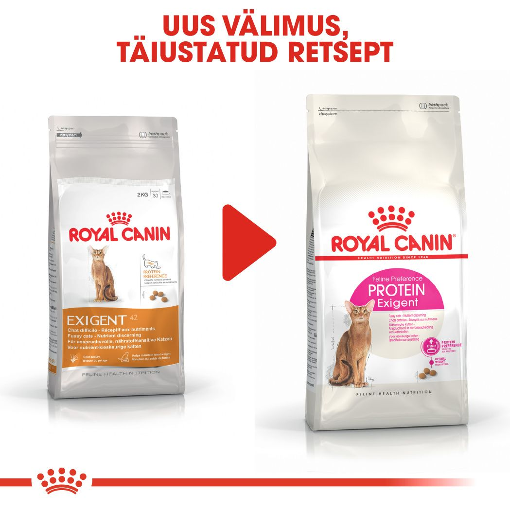 Royal Canin Protein Exigent kuivtoit