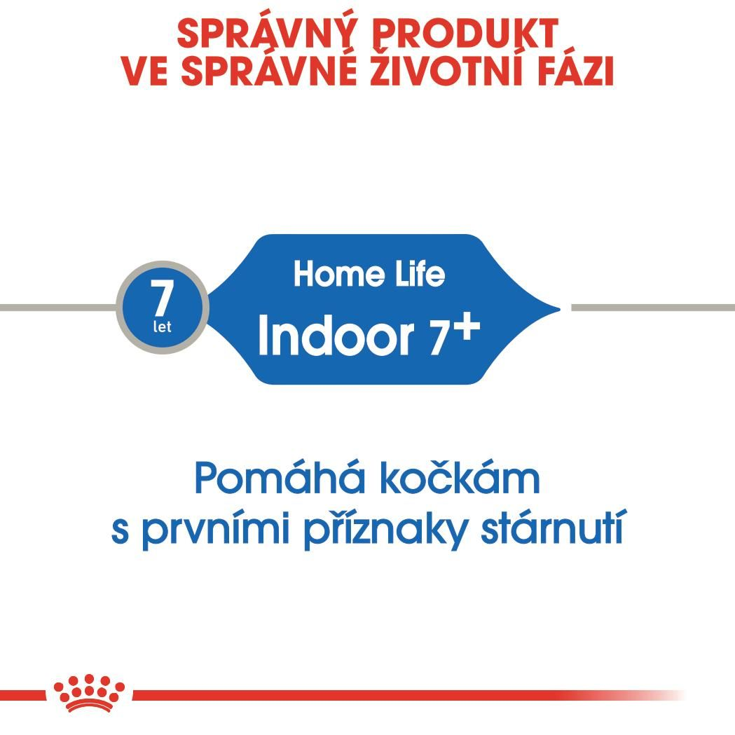 INDOOR 7+