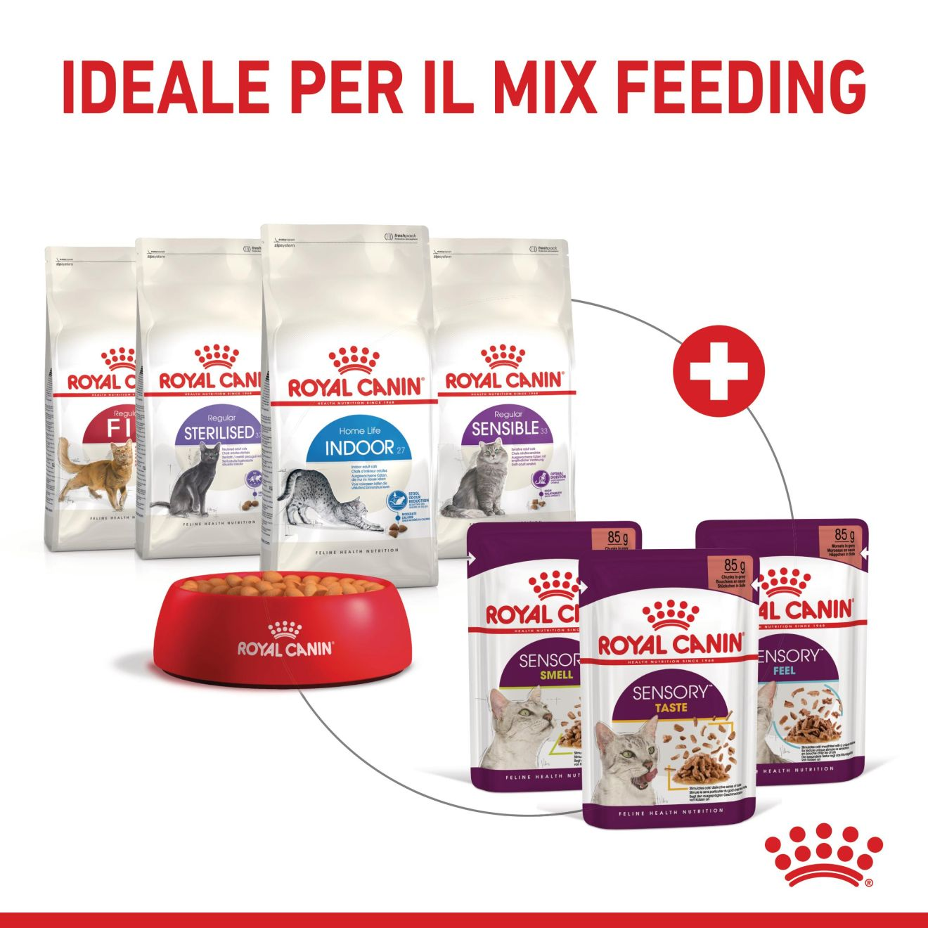 SENSORY™ FEEL straccetti in salsa