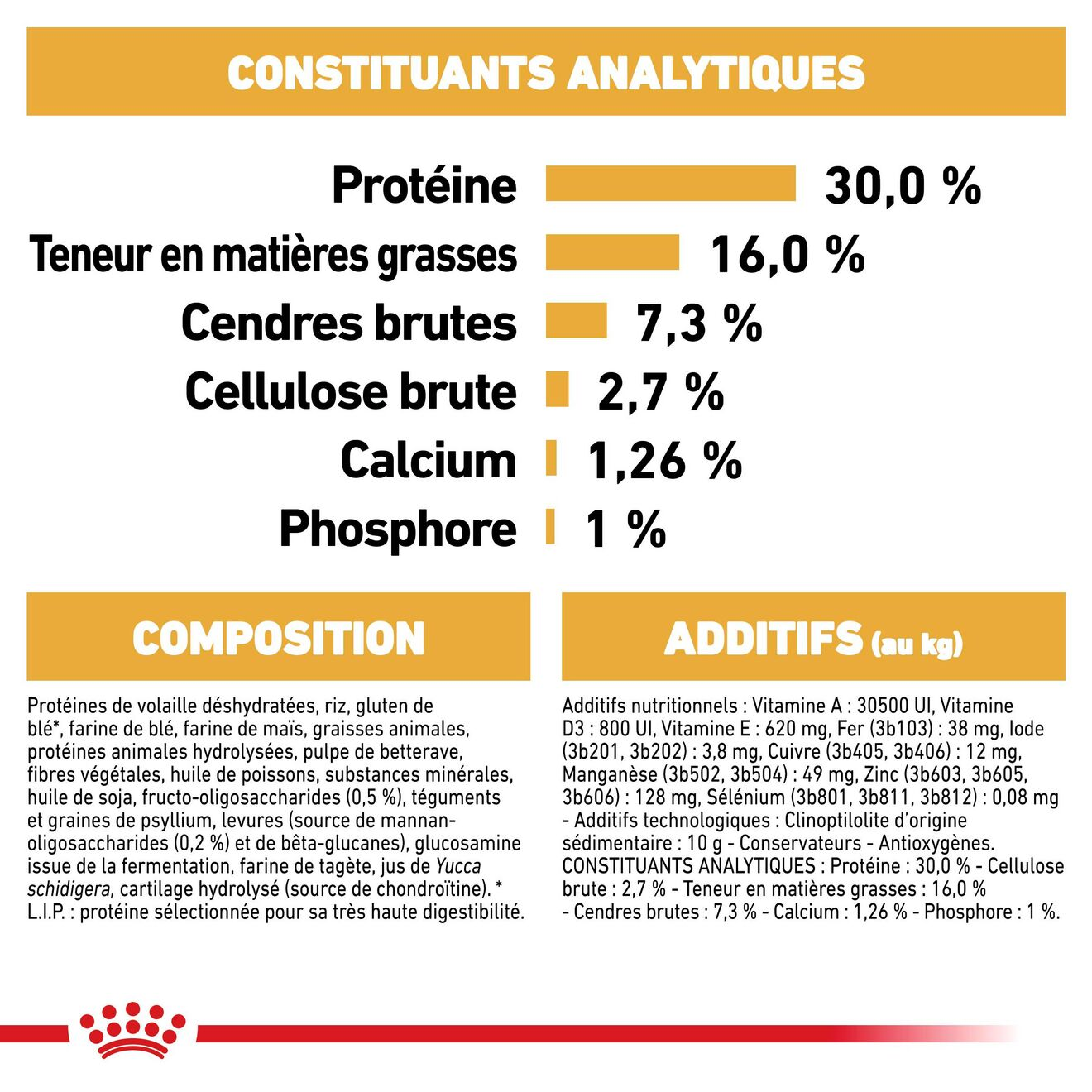 German Shepherd Puppy