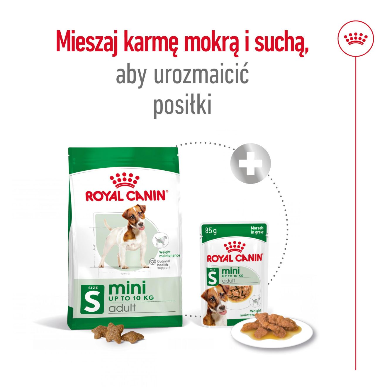 SHN Mini Adult