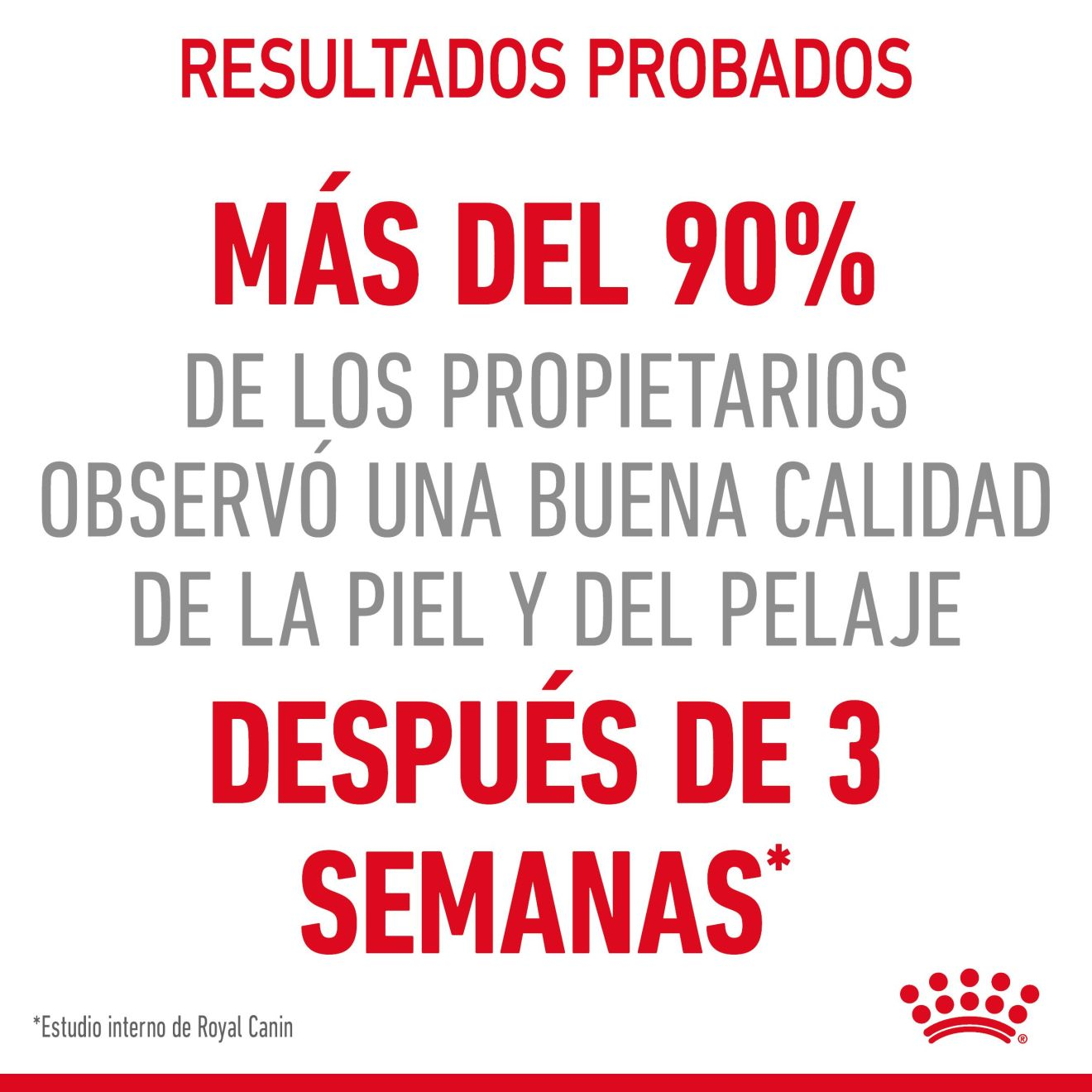 Hair & Skin Care Finas láminas en salsa