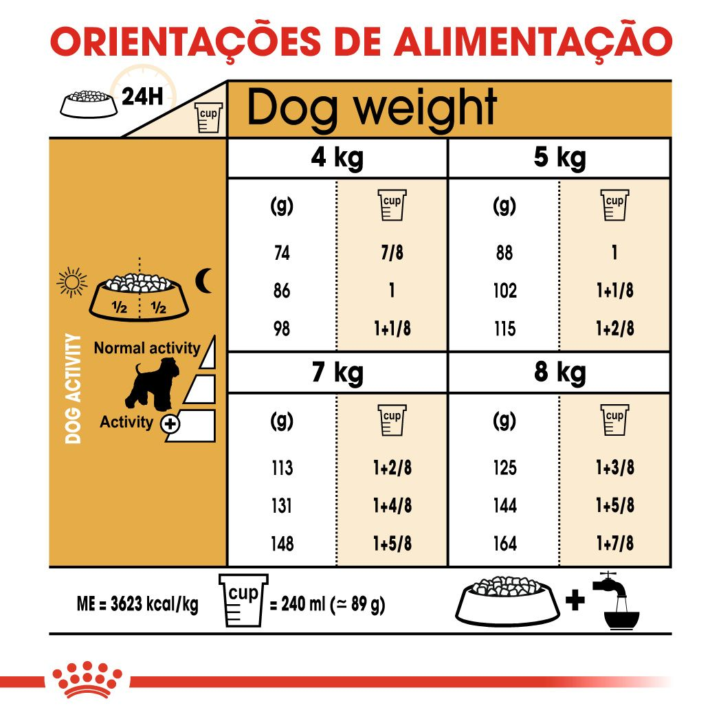Miniature Schnauzer Adult