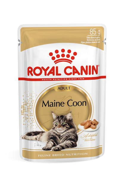 Wet hotsell royal canin