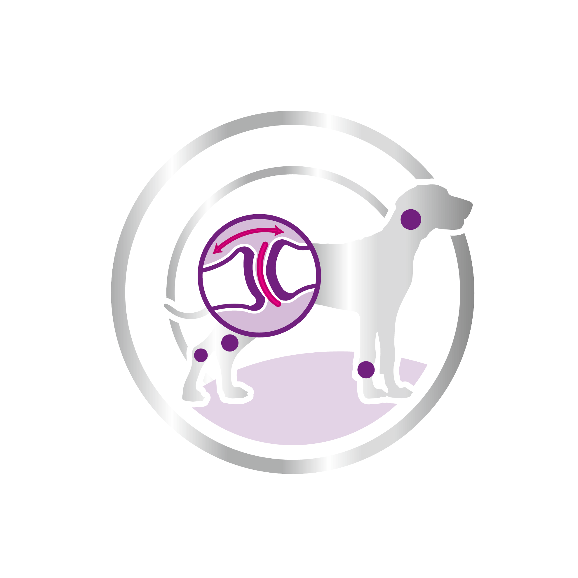 อาหารสุนัขโต พันธุ์ยักษ์ ชนิดเม็ด (GIANT ADULT)