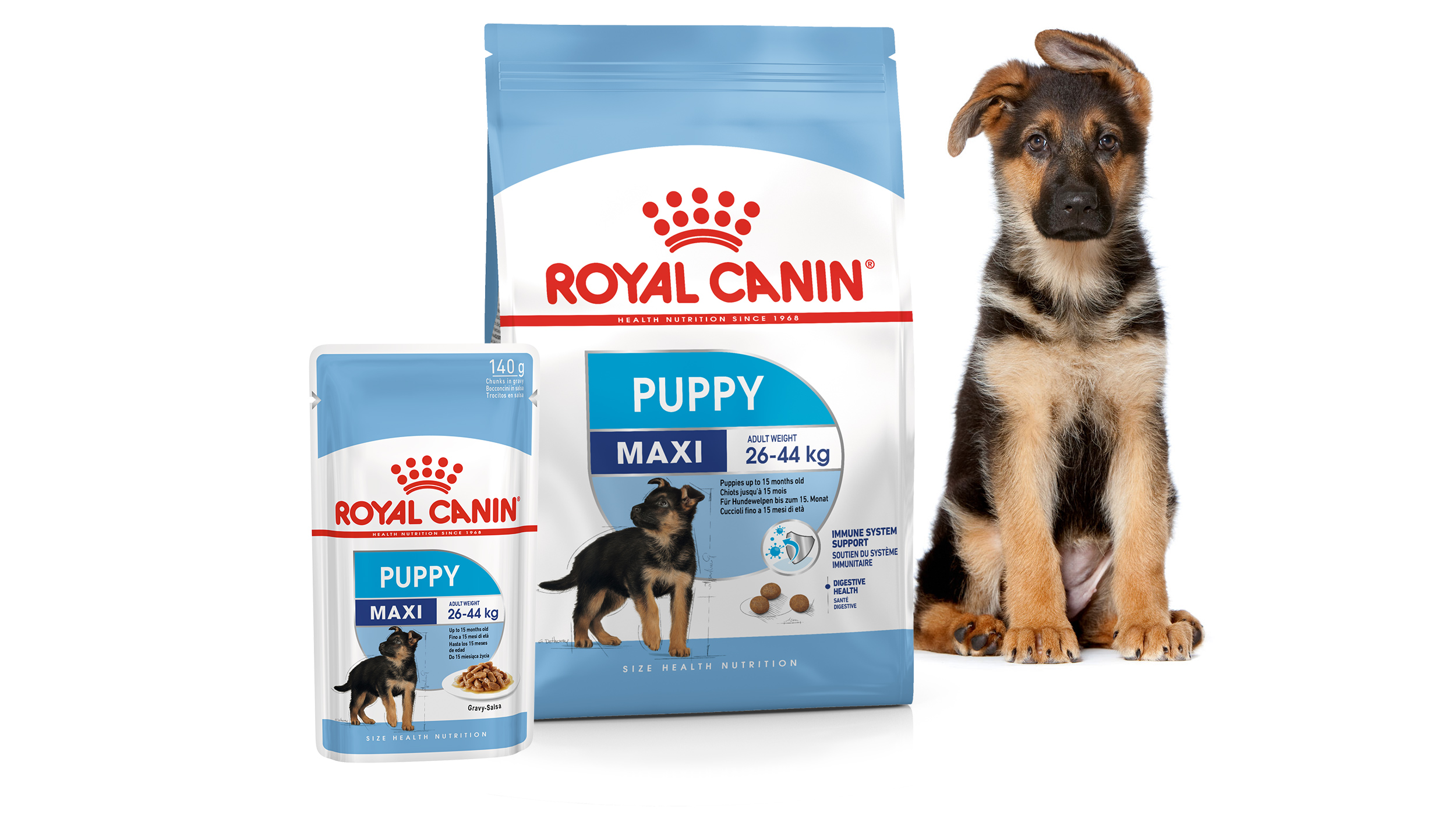 Royal canin puppy large hot sale dog