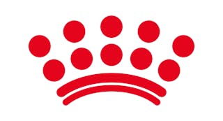 ABC Zoo stand-in logo